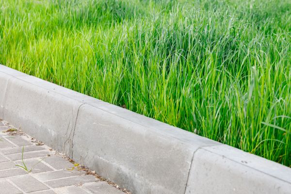 Cement Curbing Landscaping - Cement Curbing Landscaping Saint Petersburg, Florida