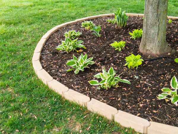 Decorative Concrete Curbing - Decorative Concrete Curbing Bonita Springs, Florida